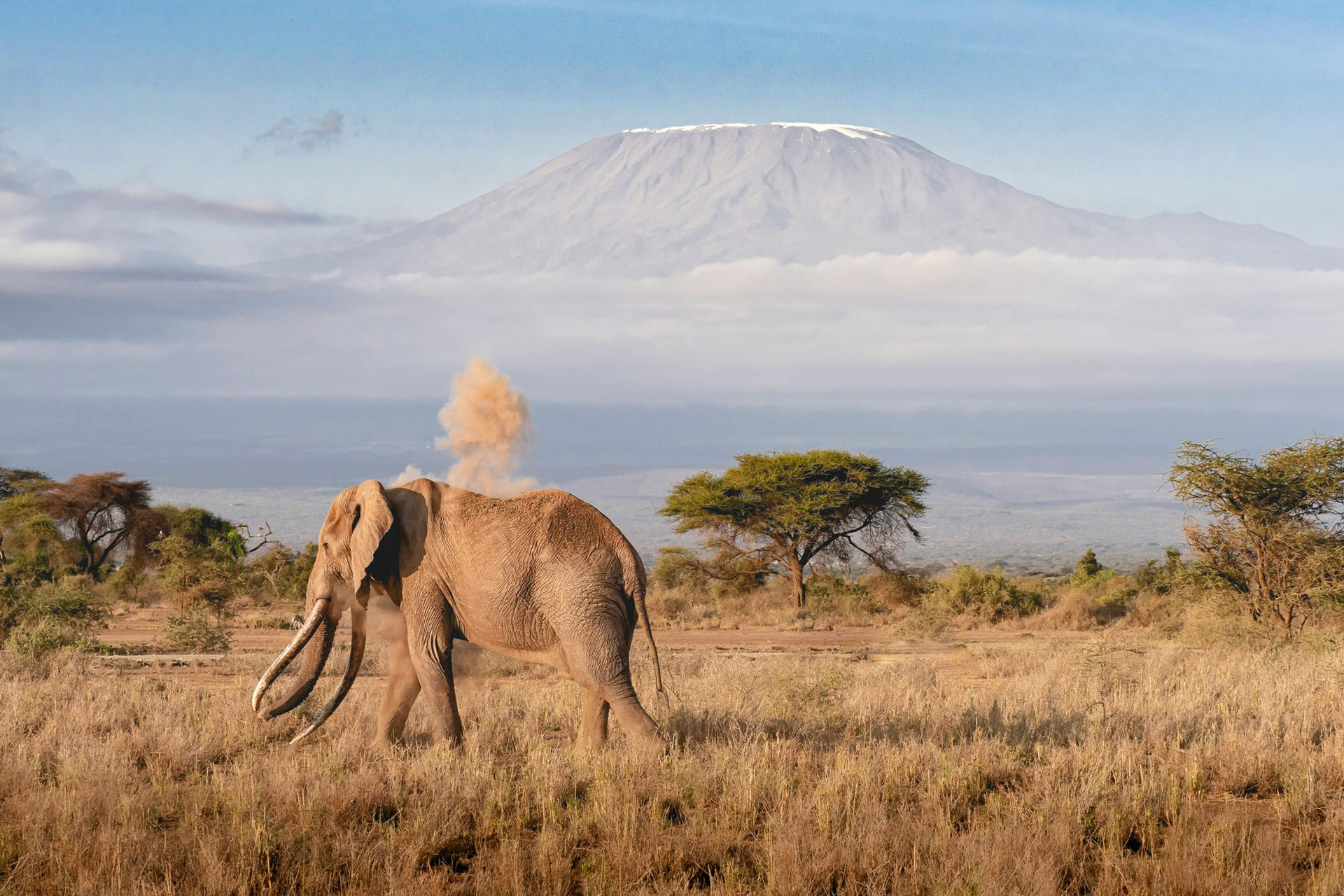 Tanzania